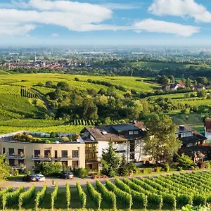https://hotel-rebenhof.hotelsheidelberg.net
